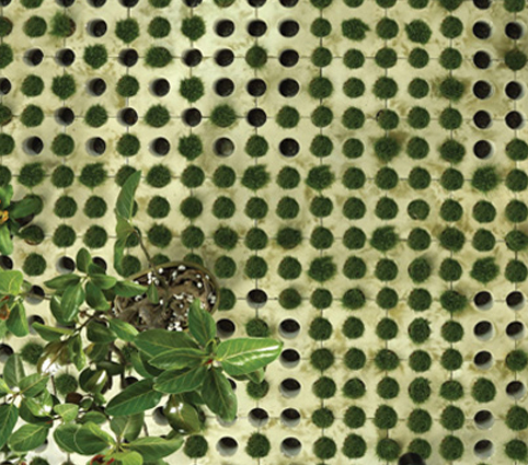 Planet Green Pavers & Tiles - Paving A Beautiful World